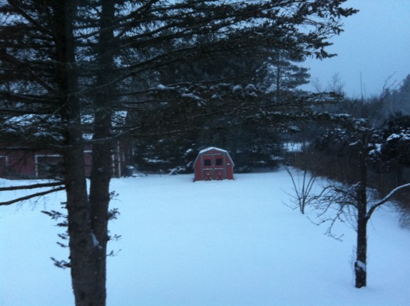 WFAS in January
