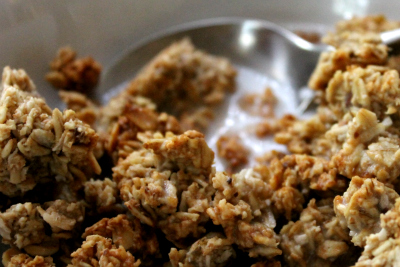 Post image for A Sweet & Easy Vegan Virtual Potluck (and giveaway!) {Vegan MoFo #11}
