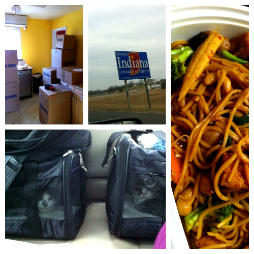 Post image for A vegan, her husband and two cats go on a road trip…