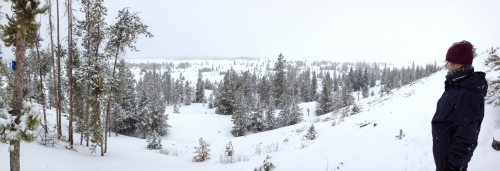 Post image for Snowshoeing, Vegan Dinner for Non-Vegans and a Weekly Round-Up (3/10/13)